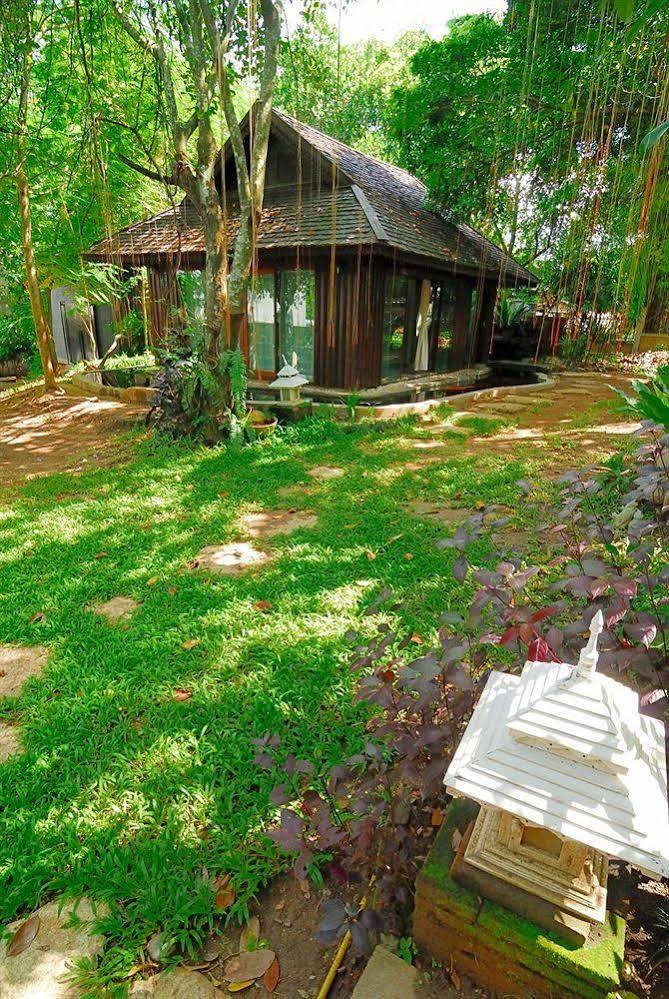 Viva Chiang Mai Nature Home Stay Bagian luar foto